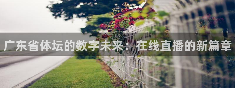 球友直播-足球篮球体育直播平台：广东省体坛的数字未来：在线直播的新篇章